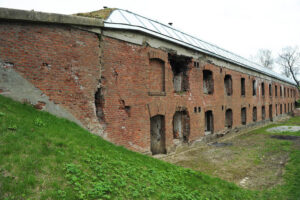 10612_d-delmanowicz2
