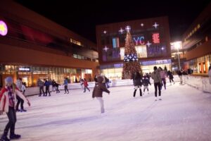 16576_9431_1513_lodowisko