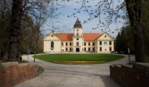 19610_zamek-w-dzikowie