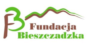 20100_logo-fundacja1
