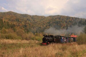 29538_kolejka_bieszczadzka_11