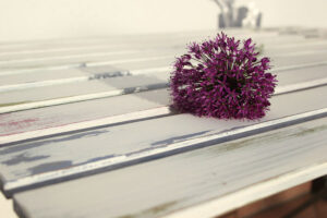 31184_shabby