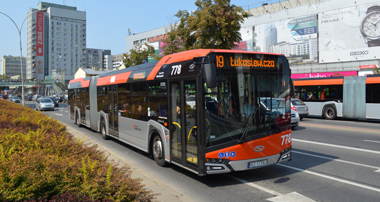 41282_autobus