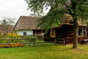 Imagine Design Group