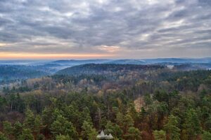 49540_roztocze