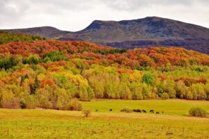 50375_4453_Bieszczady