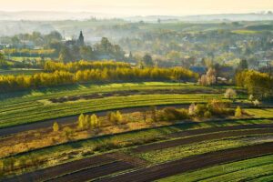 51849_50643_boguchwala