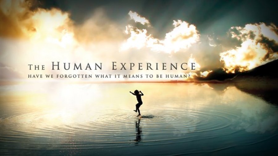5237_Human_Experience