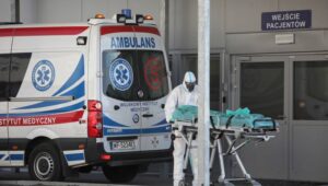 55483_40030579_38912232