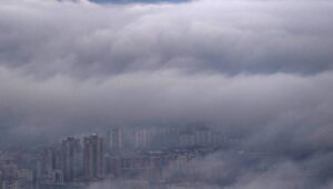 55484_40030668_40030657