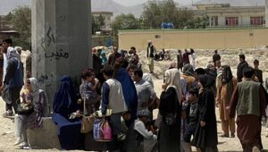 55643_40097399_40097381