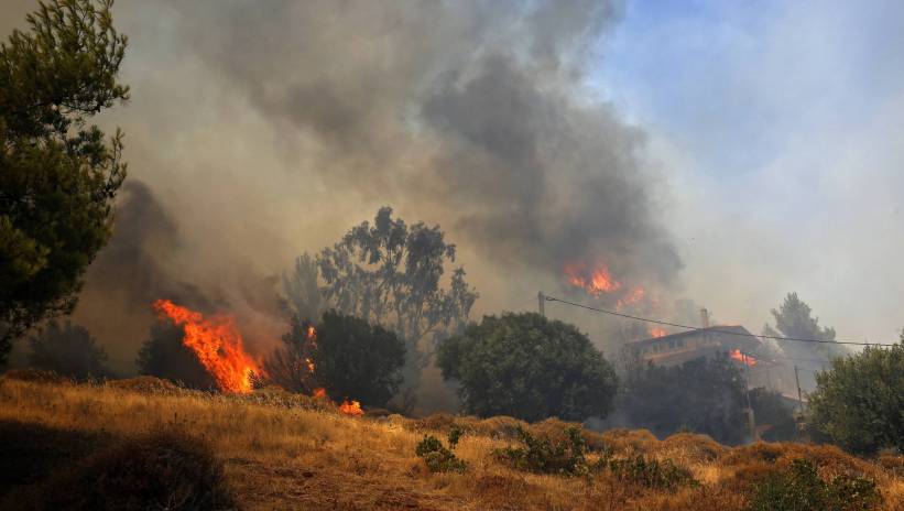 55720_40138647_40138641