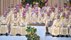 56159_40298558_40298553