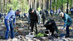 56715_40465346_40464719