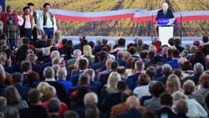 56908_40530557_40530551