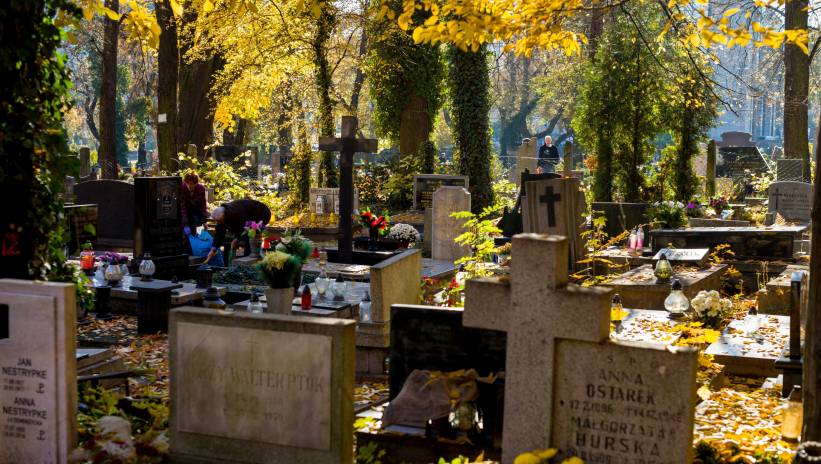 57377_40716517_40716484