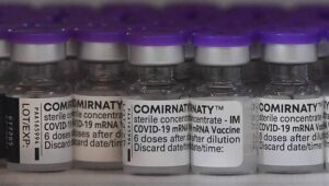 58329_41041157_38981345