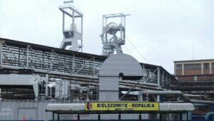 58349_41049856_41044976