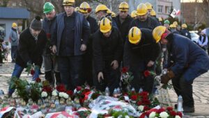 58543_41126991_41126984