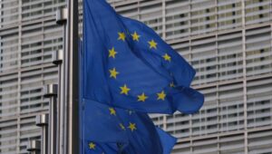 58613_41157949_40894849