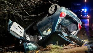 58766_41221030_41221028