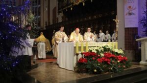 58908_41263313_41263133