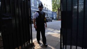 59422_41416527_40584806