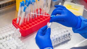 59450_41425323_41425317