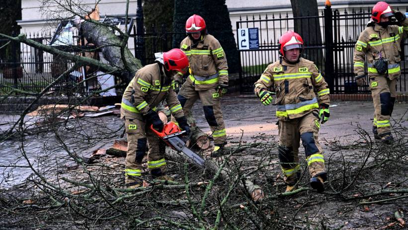 59557_41457912_41457902