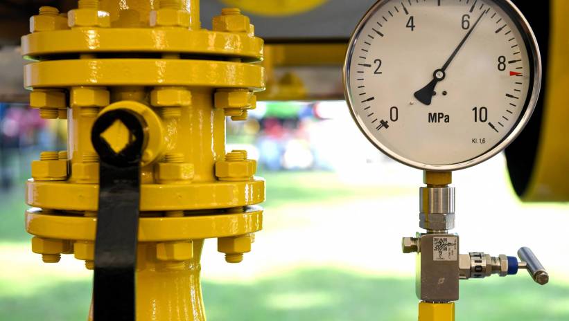 60482_41755719_41755669