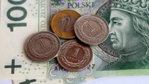 60588_41788168_41044973