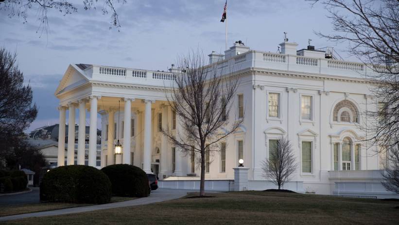 60620_41800124_41800035