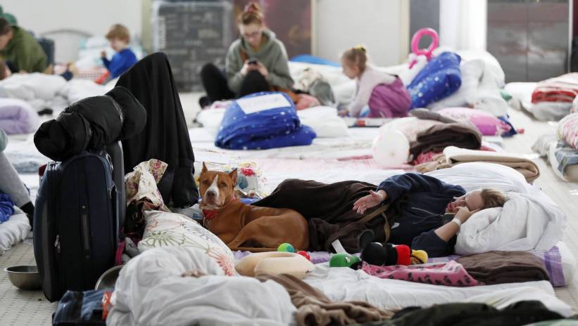 60775_41828737_41828620