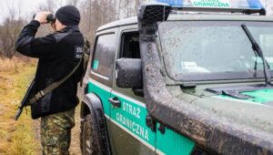 60868_41855978_41855949