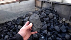 61185_41931542_41931489