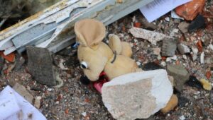 61398_41995908_41995818