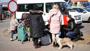 61659_42042068_42042046