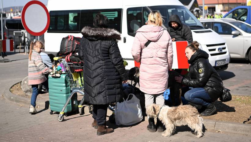 61659_42042068_42042046