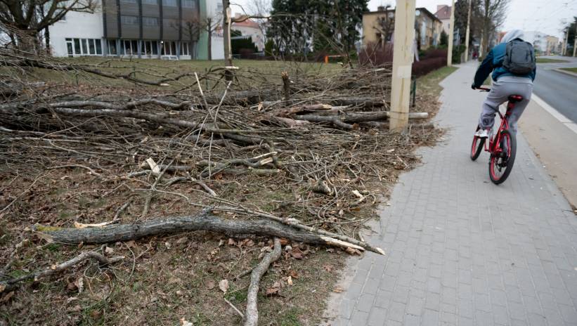 62105_42115536_42115528