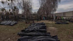 62711_42273240_42273219