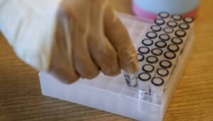 62964_42351282_41916291