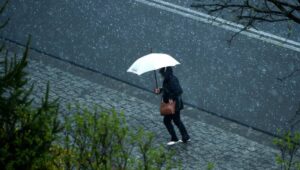 64043_42656301_42656277