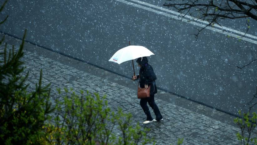 64043_42656301_42656277