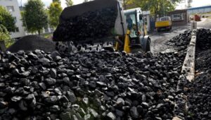 64574_42788837_42788800