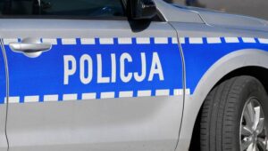 64659_42811482_42811481