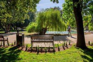 65238_park