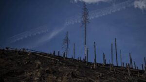 65450_43104712_43104709