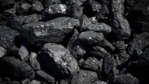 65537_43131985_43131972