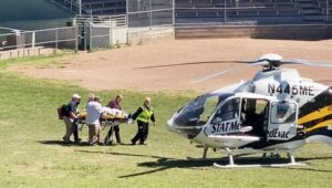 65768_43185910_43185887