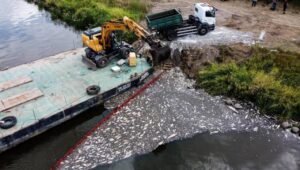 65925_43199077_43199034